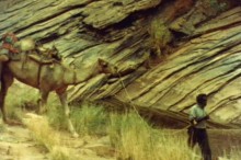 [camels-of-the-pitjantjara--Film-image]
