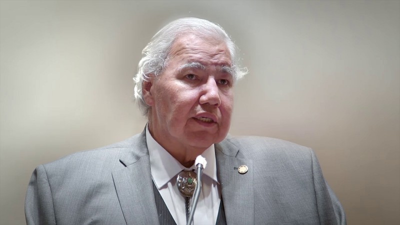 [honour-to-senator-murray-sinclair--Film-list-image]