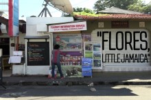 [flores-little-jamaica--Film-image]