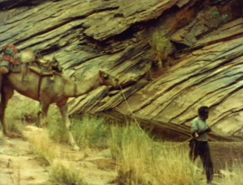 [camels-of-the-pitjantjara--Film-list-image]