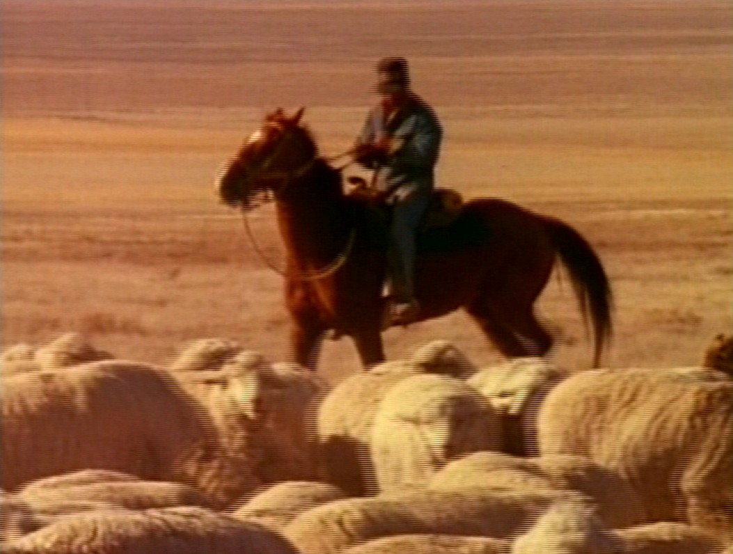 [a-sheepherders-homecoming--Film-list-image]