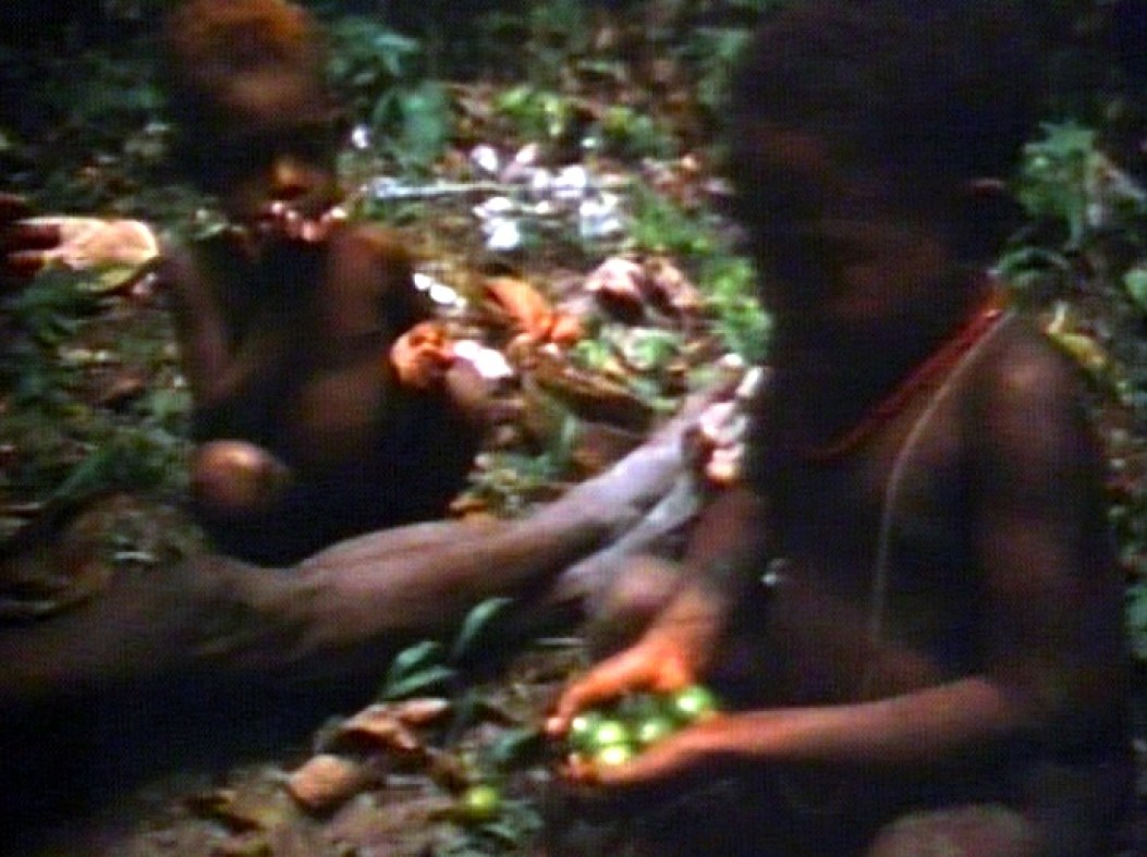 [garden-days-village-in-papua-new-guinea--Film-list-image]