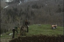 [the-albanians-of-rrogam--Film-image]