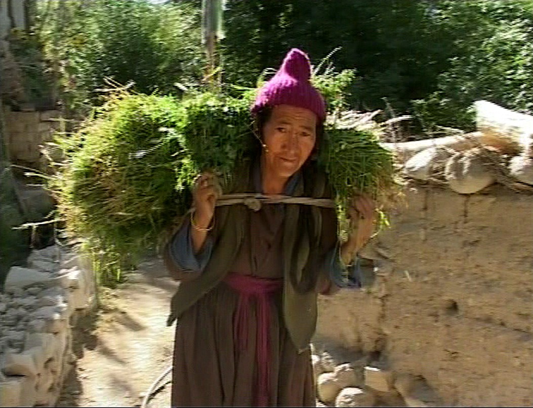 [those-who-care-faith-and-freedom-in-a-ladakhi-village--Film-list-image]