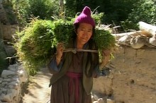 [those-who-care-faith-and-freedom-in-a-ladakhi-village--Film-image]